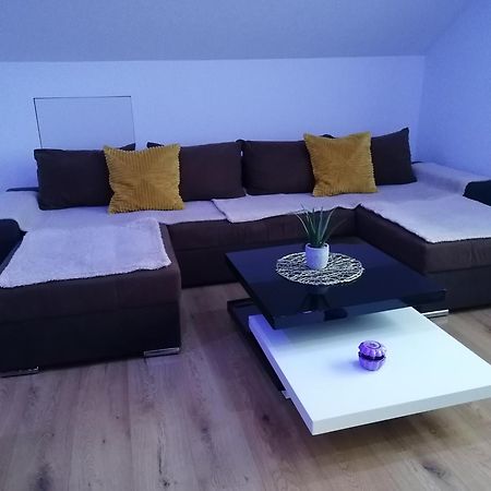 Apartment An Der Schweizer Grenze ラウフェンブルク エクステリア 写真