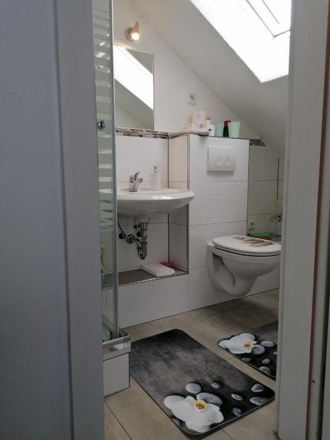Apartment An Der Schweizer Grenze ラウフェンブルク エクステリア 写真
