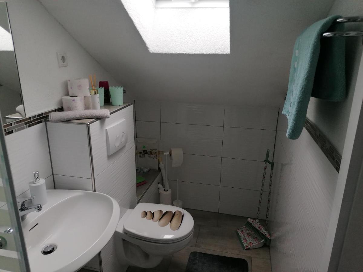 Apartment An Der Schweizer Grenze ラウフェンブルク エクステリア 写真
