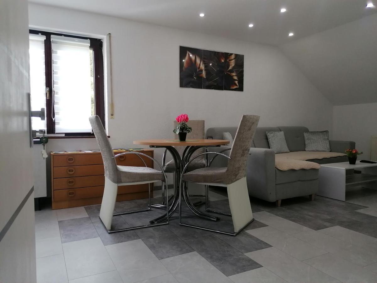 Apartment An Der Schweizer Grenze ラウフェンブルク エクステリア 写真