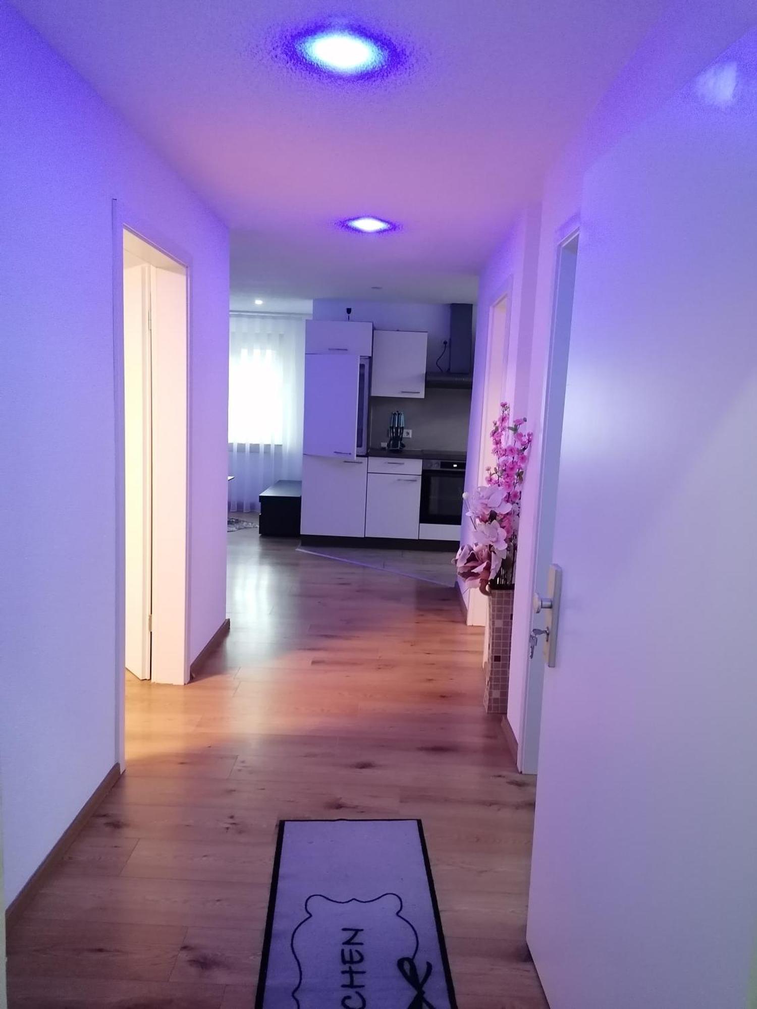 Apartment An Der Schweizer Grenze ラウフェンブルク エクステリア 写真