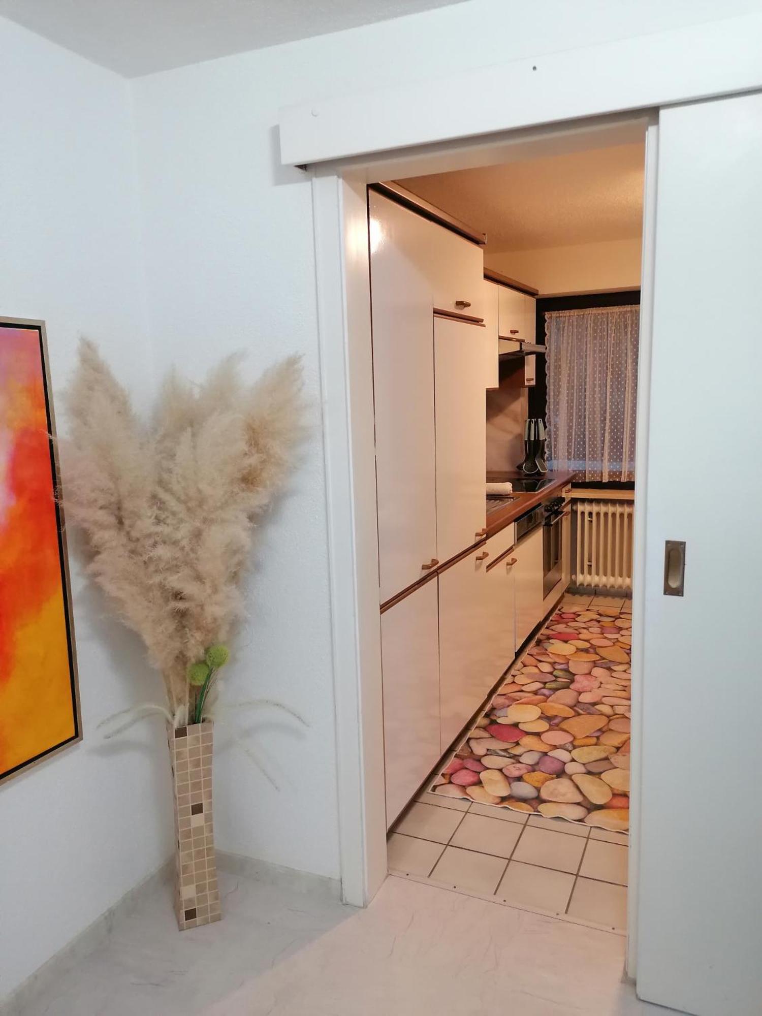 Apartment An Der Schweizer Grenze ラウフェンブルク エクステリア 写真